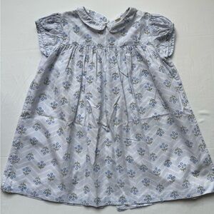 Little Cotton Clothes girls Floral Dress